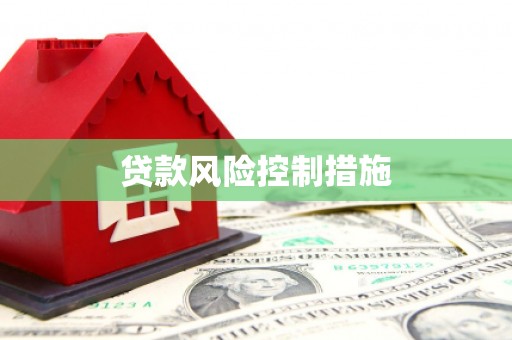 平江贷款风险控制措施
