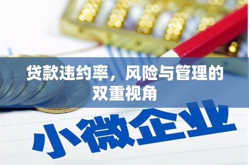 平江贷款违约率，风险与管理的双重视角