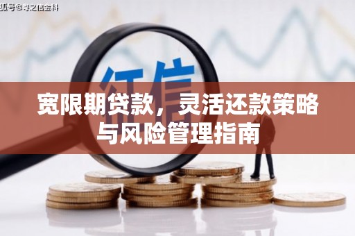 平江宽限期贷款，灵活还款策略与风险管理指南