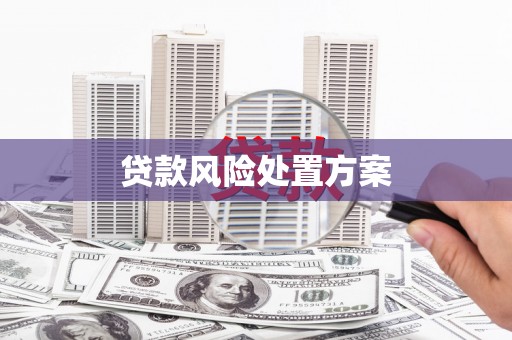 平江贷款风险处置方案