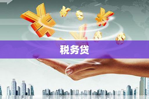平江税务贷
