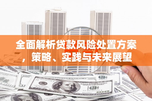 平江全面解析贷款风险处置方案，策略、实践与未来展望