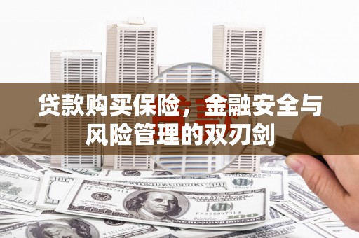 平江贷款购买保险，金融安全与风险管理的双刃剑