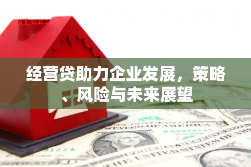 平江经营贷助力企业发展，策略、风险与未来展望