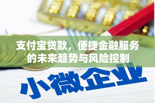 平江支付宝贷款，便捷金融服务的未来趋势与风险控制