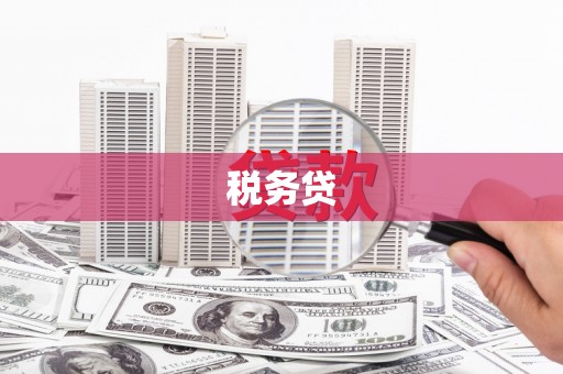 平江税务贷