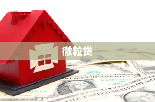 平江微粒贷