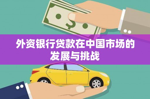 平江外资银行贷款在中国市场的发展与挑战
