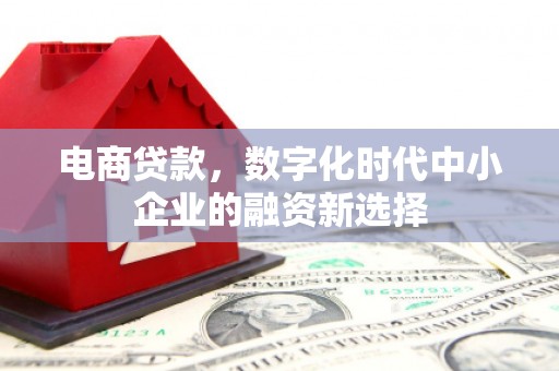 平江电商贷款，数字化时代中小企业的融资新选择