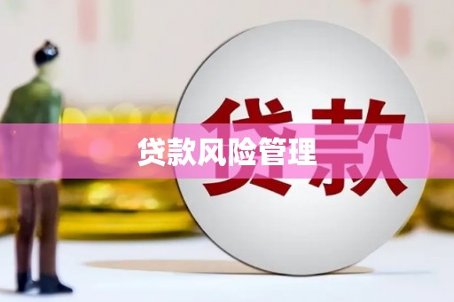 平江贷款风险管理