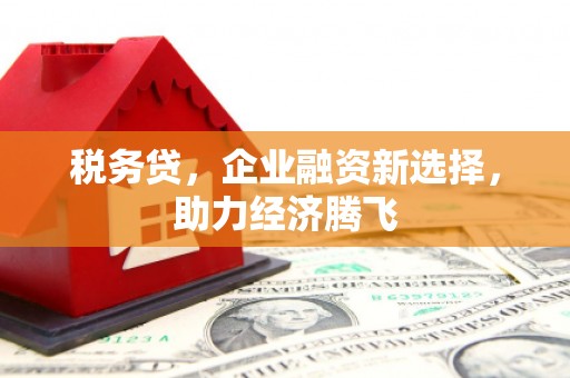 平江税务贷，企业融资新选择，助力经济腾飞