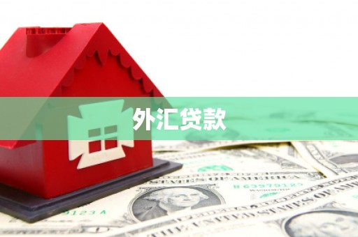 平江外汇贷款