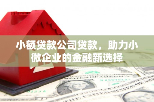 平江小额贷款公司贷款，助力小微企业的金融新选择