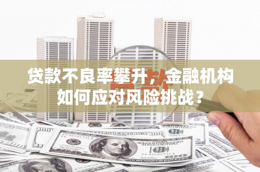 平江贷款不良率攀升，金融机构如何应对风险挑战？