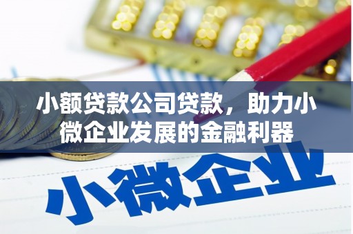 平江小额贷款公司贷款，助力小微企业发展的金融利器