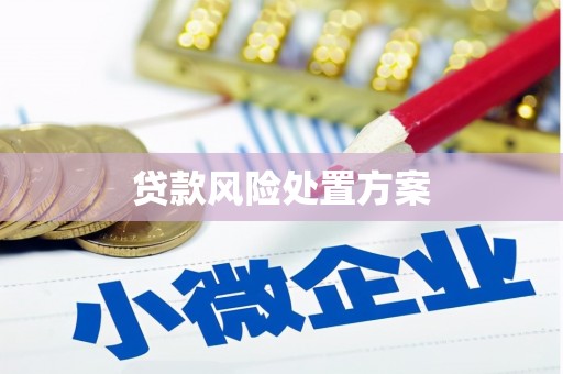 平江贷款风险处置方案