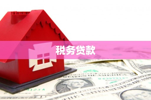 平江税务贷款