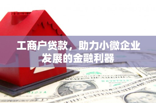 平江工商户贷款，助力小微企业发展的金融利器