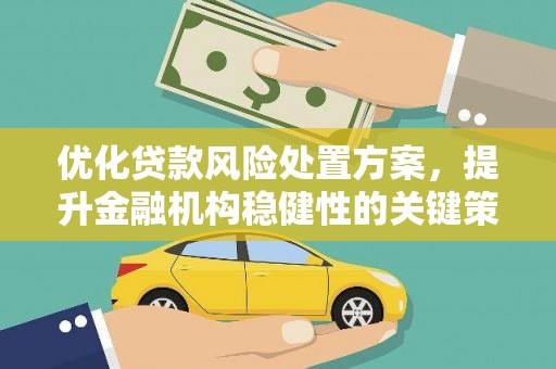 平江优化贷款风险处置方案，提升金融机构稳健性的关键策略