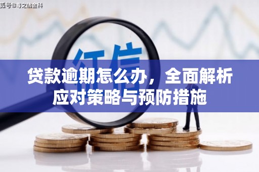 平江贷款逾期怎么办，全面解析应对策略与预防措施