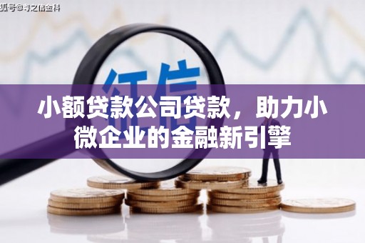 平江小额贷款公司贷款，助力小微企业的金融新引擎