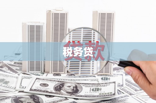 平江税务贷