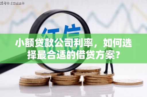 平江小额贷款公司利率，如何选择最合适的借贷方案？