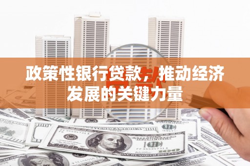 平江政策性银行贷款，推动经济发展的关键力量