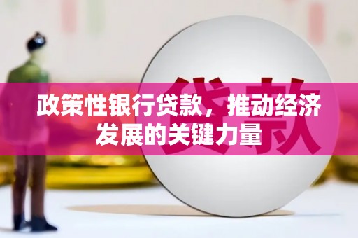 平江政策性银行贷款，推动经济发展的关键力量