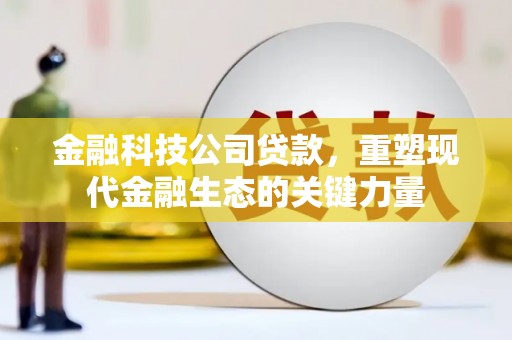 平江金融科技公司贷款，重塑现代金融生态的关键力量