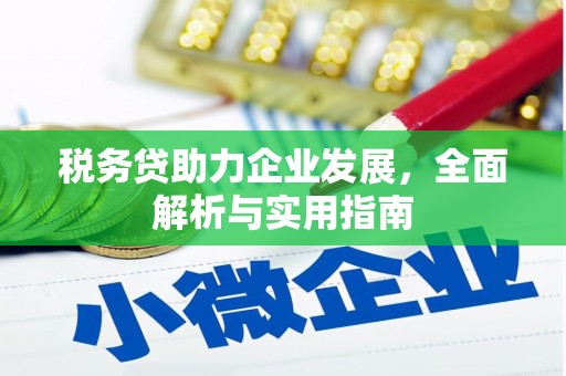 平江税务贷助力企业发展，全面解析与实用指南
