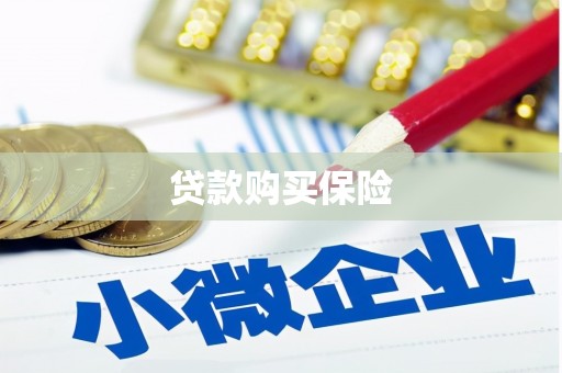 平江贷款购买保险
