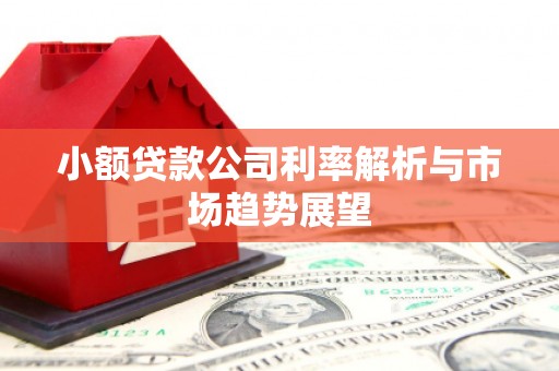 平江小额贷款公司利率解析与市场趋势展望