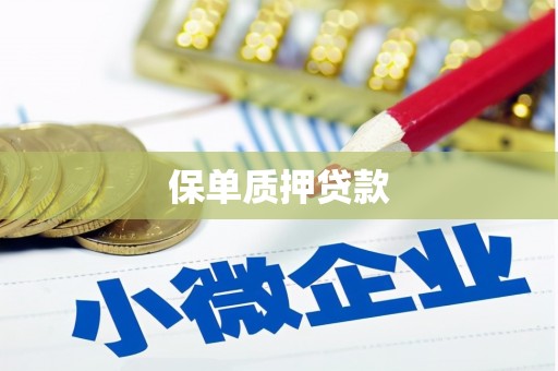 平江保单质押贷款