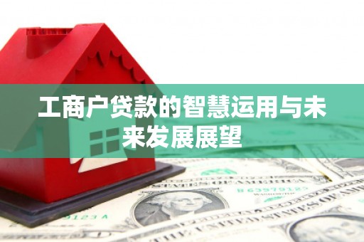 平江工商户贷款的智慧运用与未来发展展望