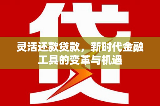 平江灵活还款贷款，新时代金融工具的变革与机遇