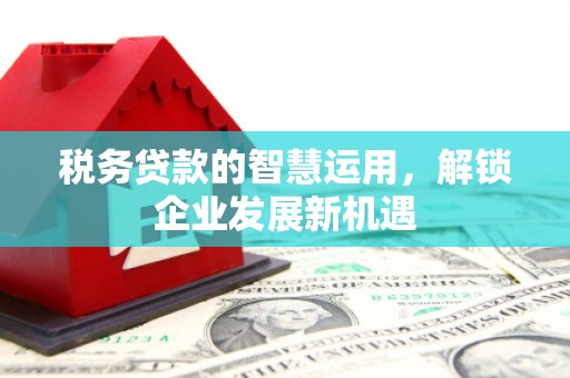 平江税务贷款的智慧运用，解锁企业发展新机遇