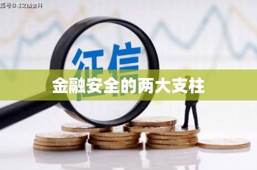 平江金融安全的两大支柱