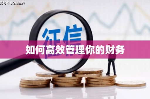 平江如何高效管理你的财务