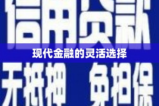 平江现代金融的灵活选择