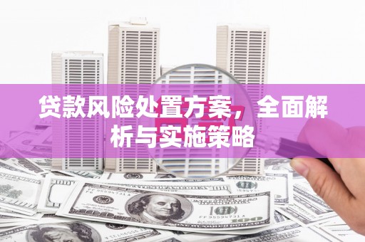 平江贷款风险处置方案，全面解析与实施策略