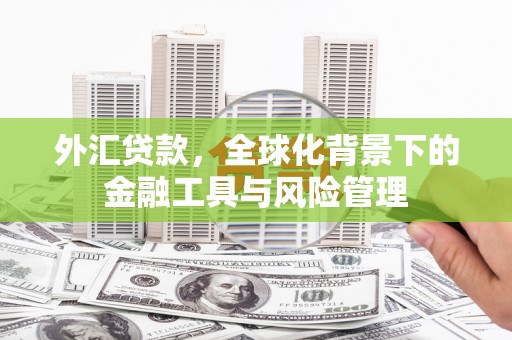 平江外汇贷款，全球化背景下的金融工具与风险管理