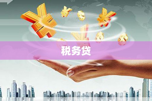 平江税务贷